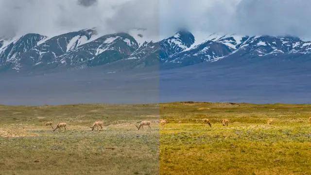 选购投影机容易忽略的重要参数，色深8bit、10bit和12bit有啥区别？