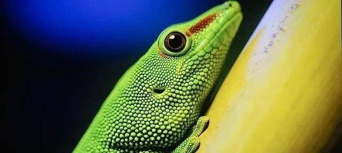 选购投影机容易忽略的重要参数，色深8bit、10bit和12bit有啥区别？