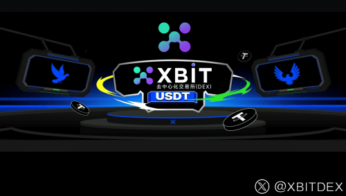 最新:“无限子弹”mNAV飞轮转向,XBIT揭示加密财库山寨币抛售隐忧