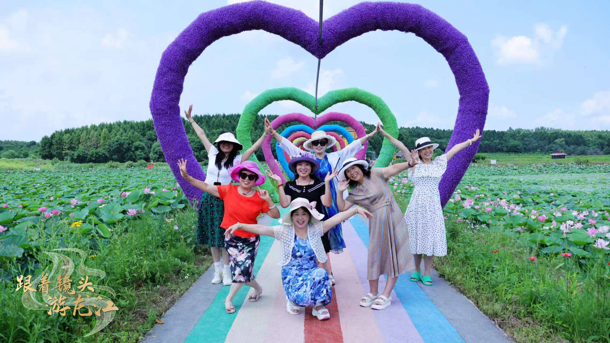 跟着镜头游龙江|绥化金龟山庄20万平方米荷花池迎来盛花期