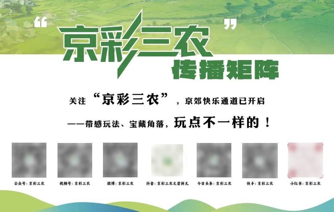 探秘铜绿异丽金龟的“双面虫生”