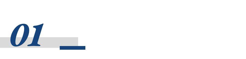 2025北极星医美榜:穿越周期的另一种美团叙事