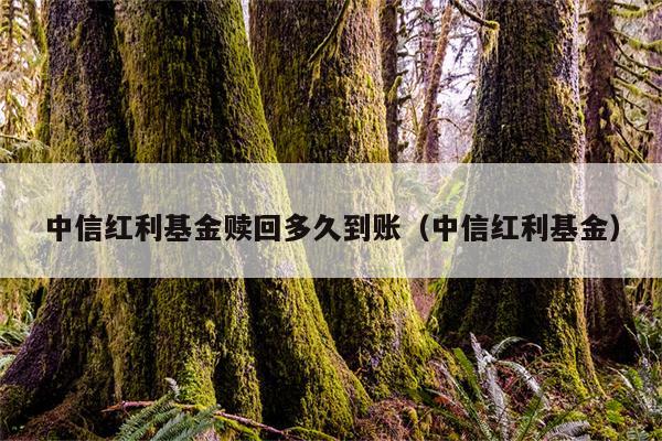 红利理财(理财红利再投资怎么赎回)