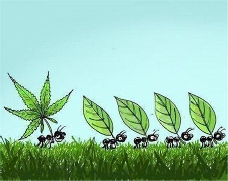 理财去投网(买理财投资网站)