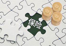 什么是理财险(什么叫理财险?)