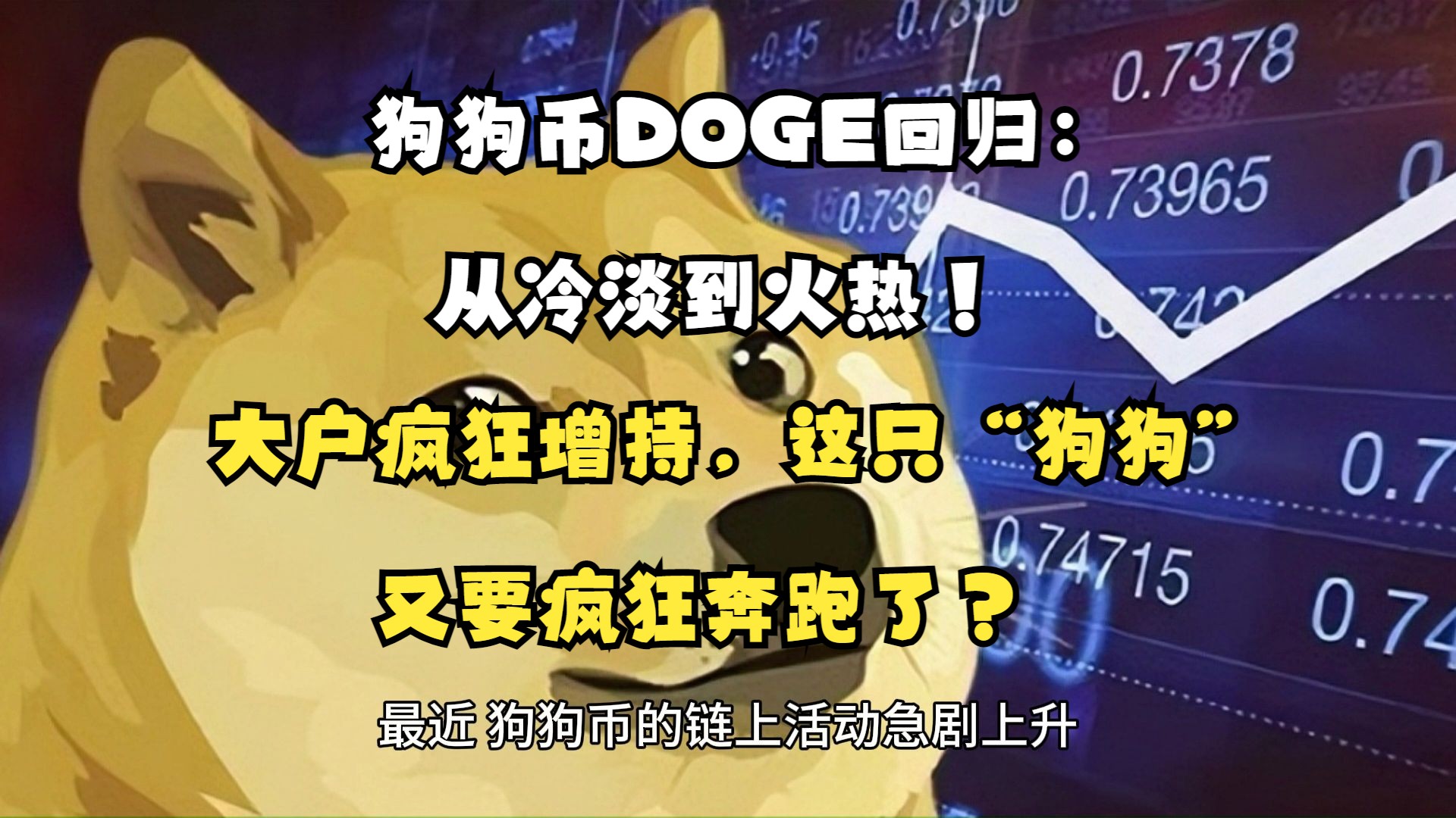 doge狗币交易所的简单介绍