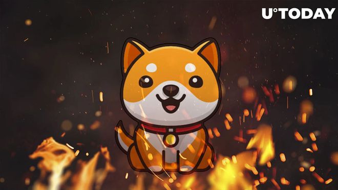doge币的中文名字叫什么(doge币的中文名字叫什么来着)