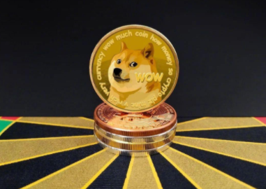doge币历史价格行情(doge币历史走势图非小号)